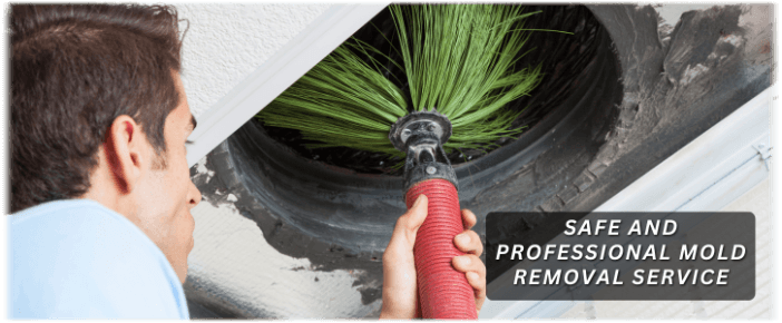 Air Duct Mold Removal in Plymouth MA