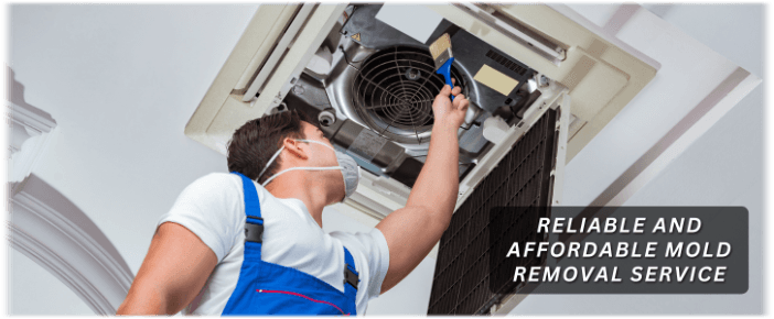 HVAC Mold Removal Plymouth MA